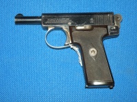 webley_381604306